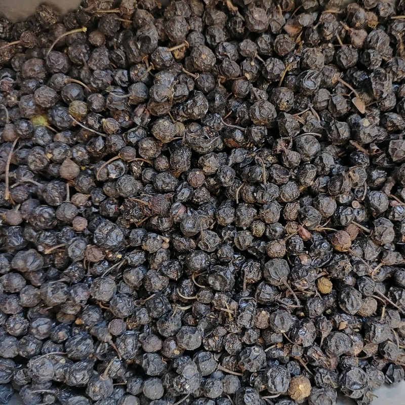 سیاهتوسه اصلی ریز