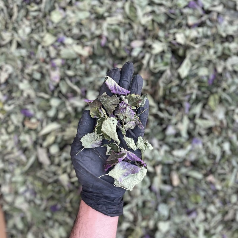 بادرنجبویه ملیس دستچین خشک