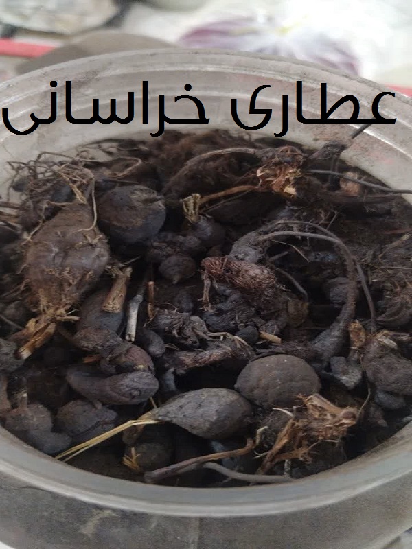 سعد کوفی اصل