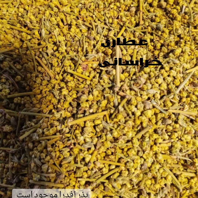 بذر گیاه هوم یا علیجون 50 گرمی