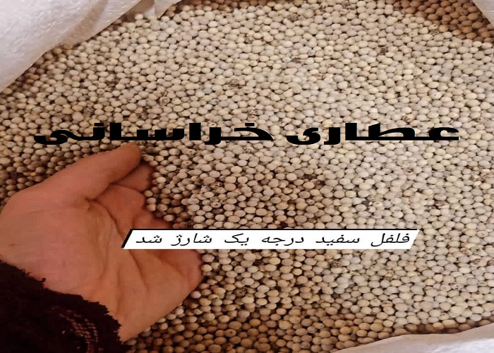 فلفل سفید ویتنامی نسابیده