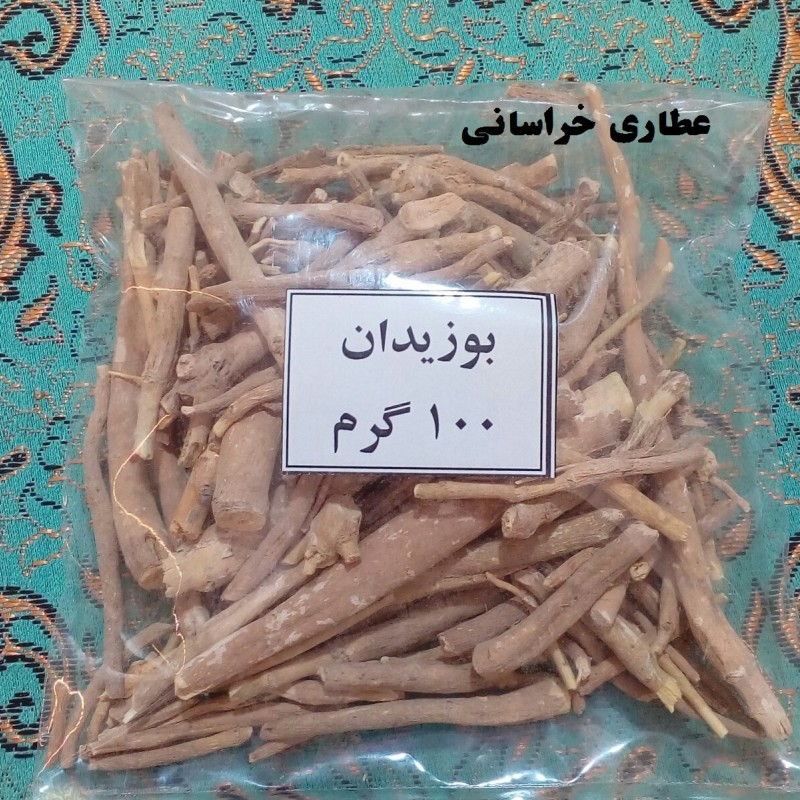 ریشه بوزیدان هندی یا آشوراگاندا