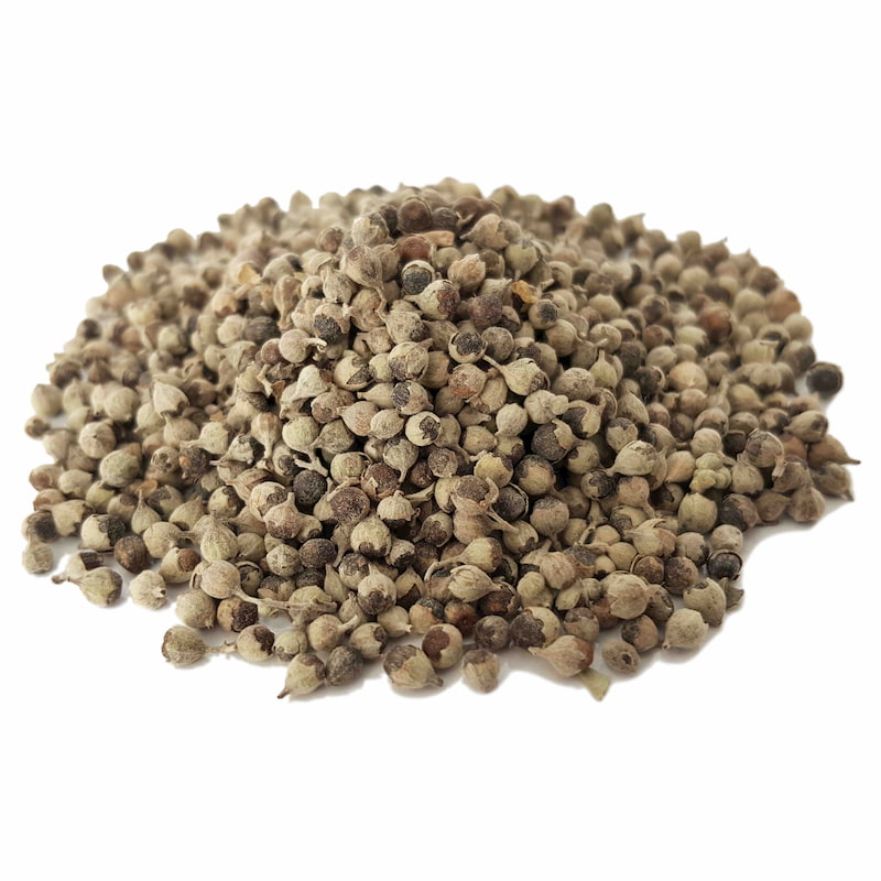 بذر گیاه  پنج انگشت