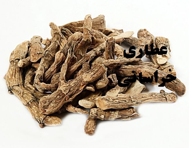 خرید گیاه اگیر ترکی