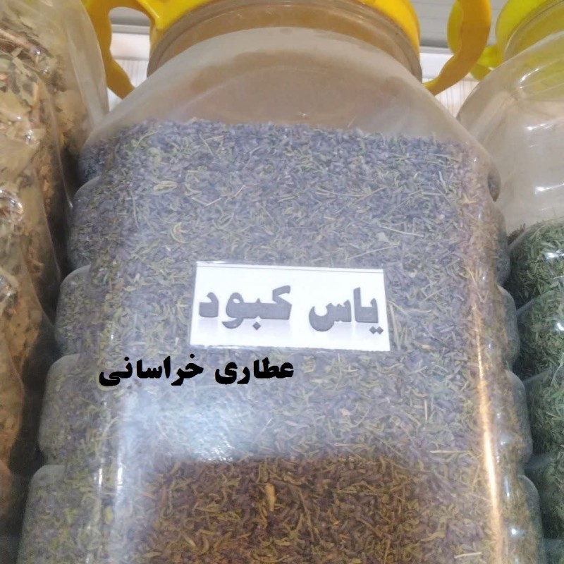 گل یاس کبود خشک