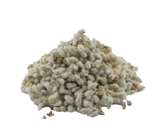 پنبه دانه فله ای مناسب خوراکی و کشت