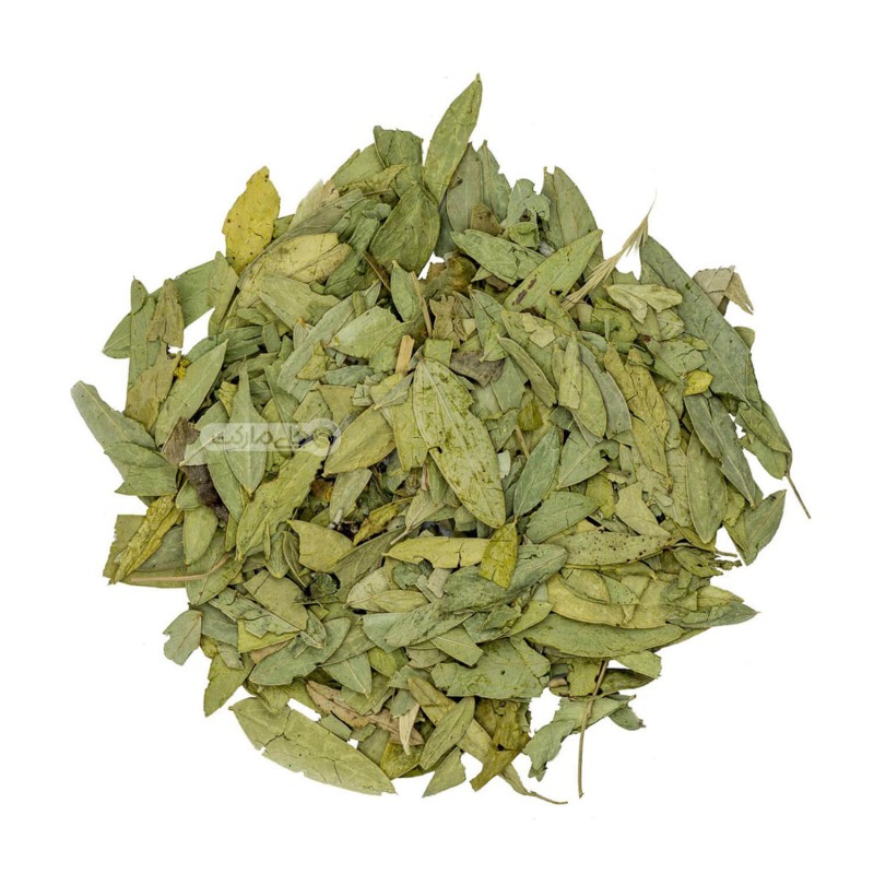 برگ سنا مکی وارداتی