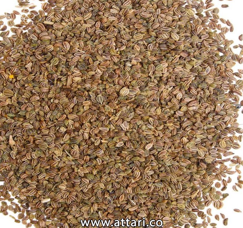 تخم کرفس تمیز کاشتنی و خوراکی