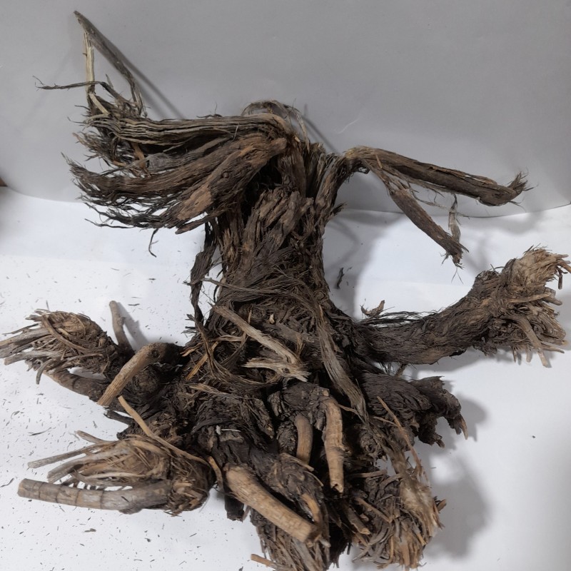 ریشه بابا ادم 250 گرمی