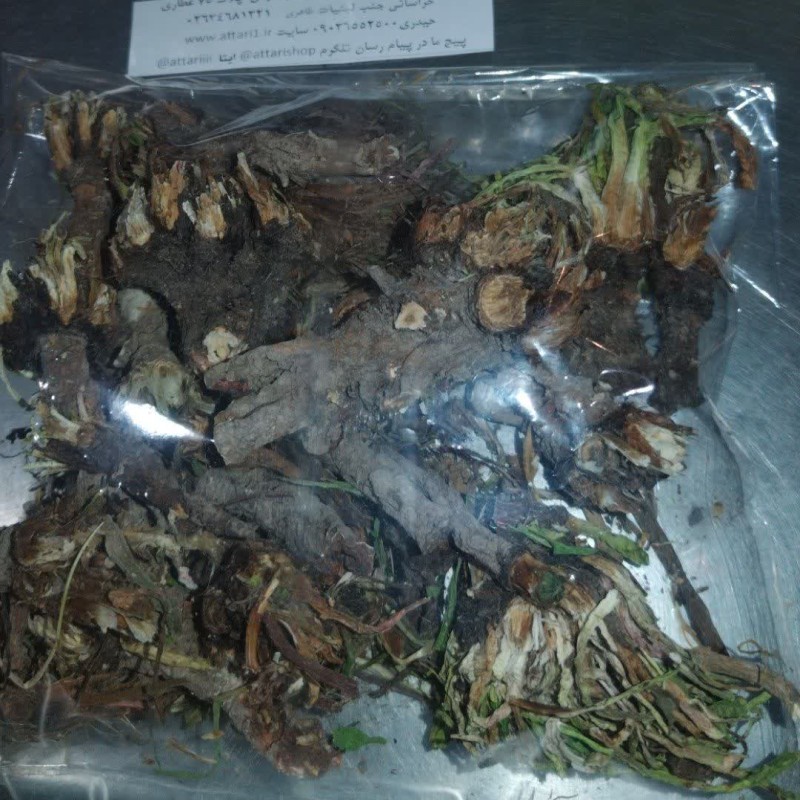 ریشه قاصدک اصل 50 گرمی