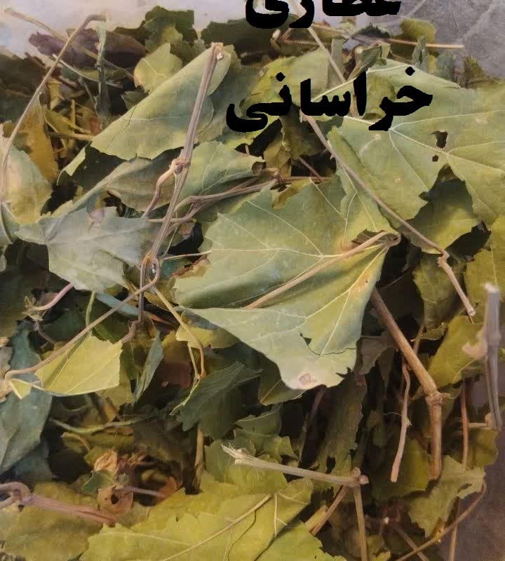 پودر برگ درخت انگور خوراکی