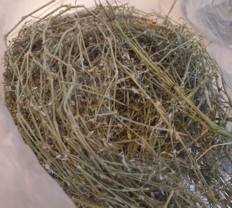 علف هقت بند اصلی 110 گرمی