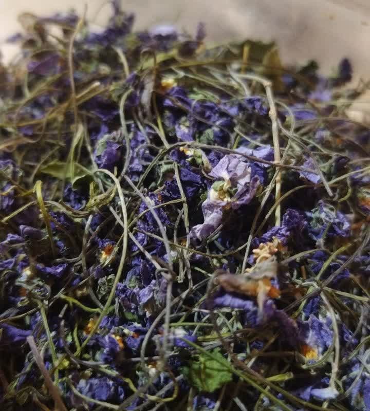 گل بنفشه کردستان 50 گرمی