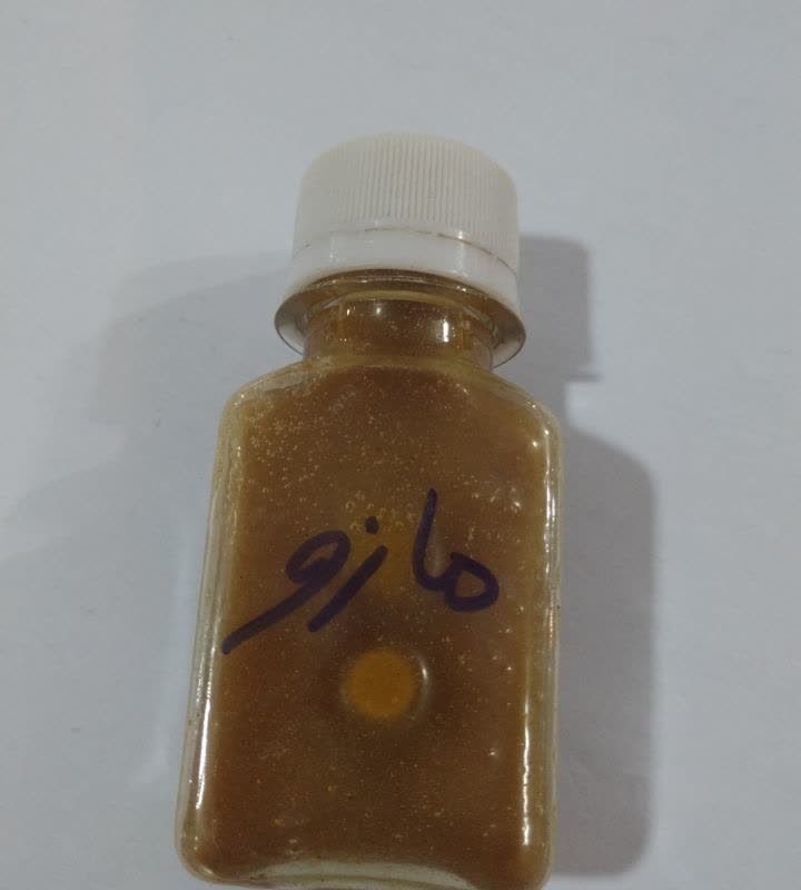 روغن مازو خالص 60 میلی