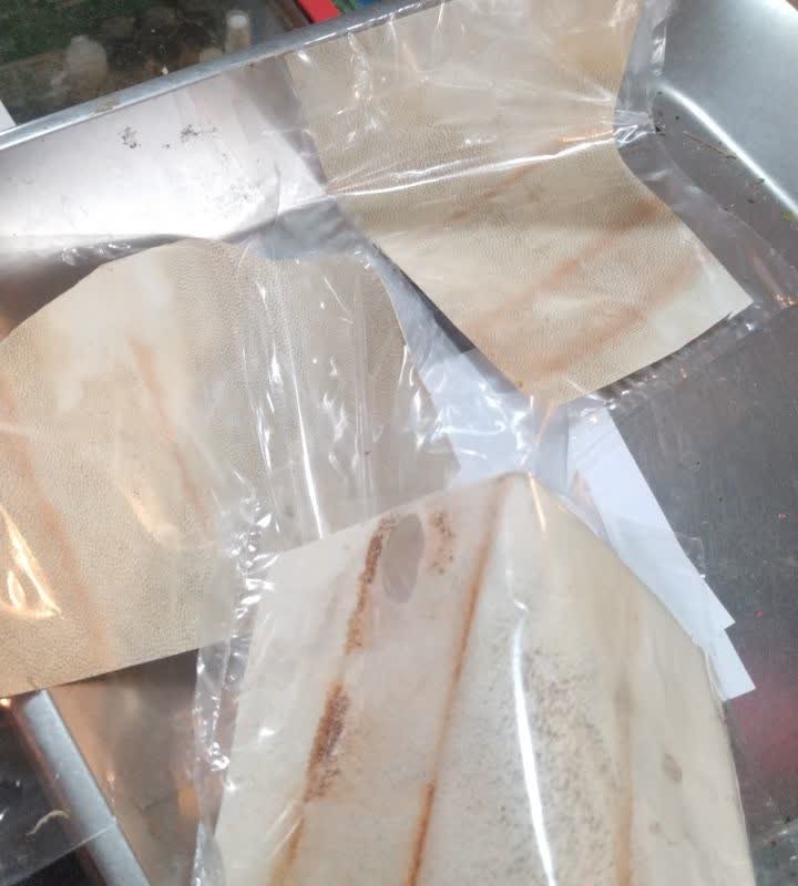 پوست آهو مناسب کتابت و تزیینی