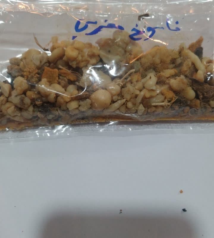 فاسوخ مغربی اصل (اوشق) 50 گرمی