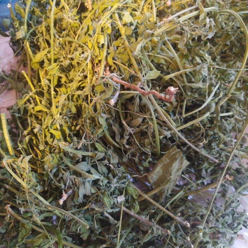 یونجه خشک سبز دستچین ارگانیک صد گرمی