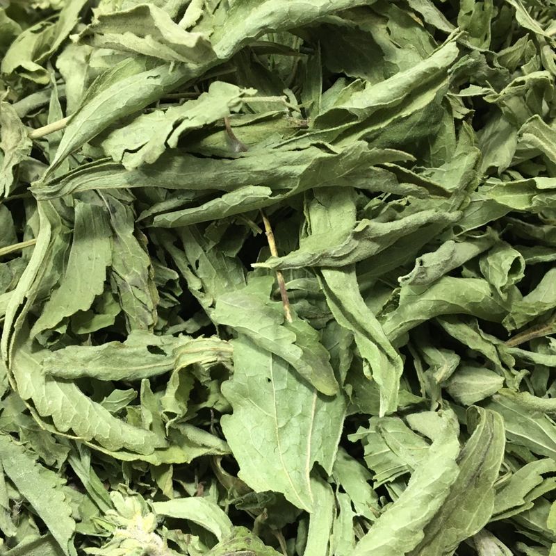 برگ استویا صد گرمی خشک 