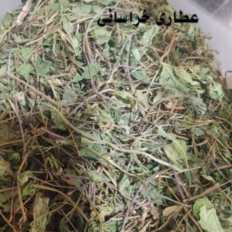 براهمی آب بشقابی سنتلا 100 گرمی 