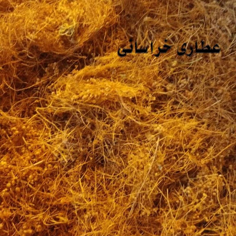 گیاه افتیمون شامی اصلی 75 گرمی 