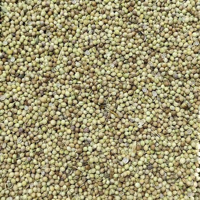 تخم گشنیز 200 گرم نسابیده 