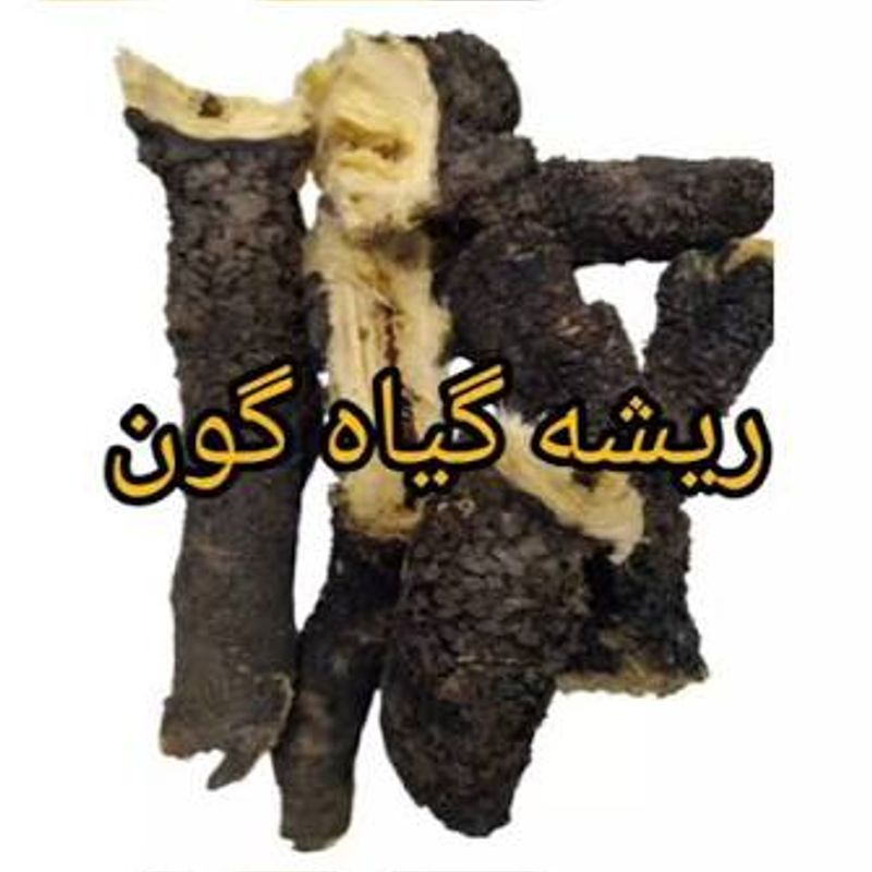ریشه گون 100 گرمی 