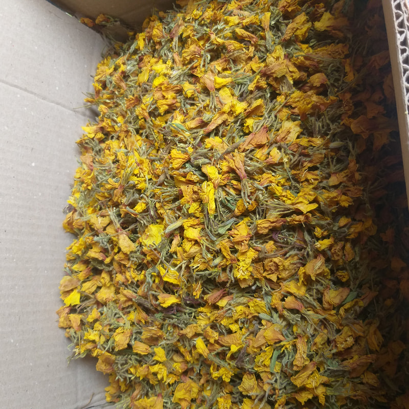 گل مغربی 25 گرمی خشک شده 