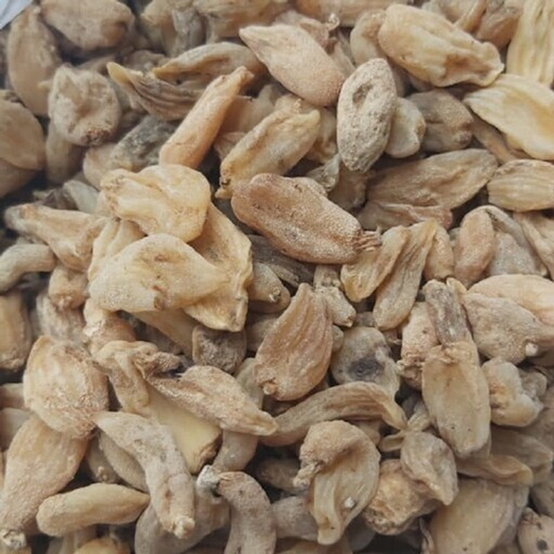 ثعلب قلوه ای 15 گرمی 