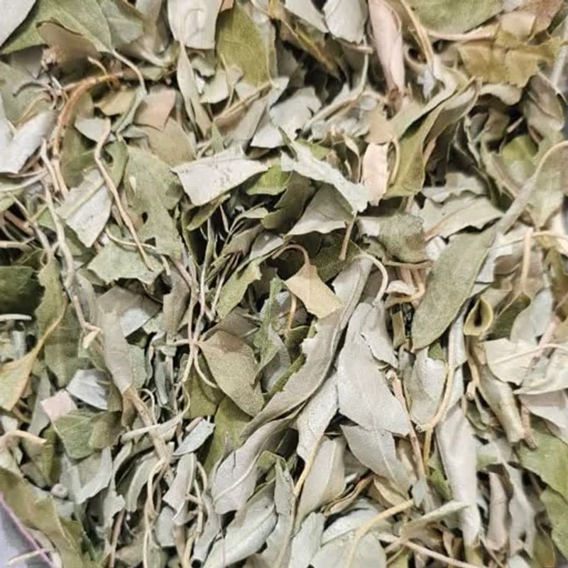 برگ سنجد 100 گرمی 