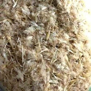 گیاه خارمریم نسابیده بذر و گیاه با هم 200 گرمی