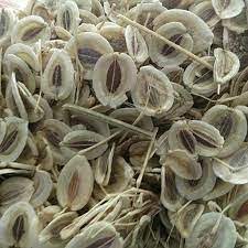 انجدان رومی پاک شده 200 گرمی