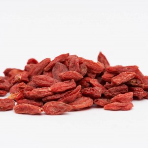 گوجی بری خشک کانادایی درجه یک