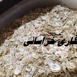 گلپر نسابیده معطر