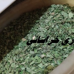 برگ مورینگا هندی 50 گرمی