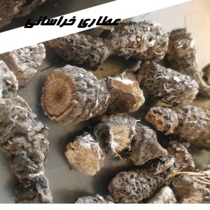 ریشه کندوش هندی اصلی نیم کیلویی