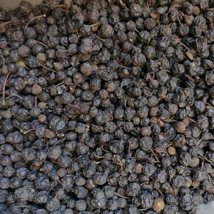 سیاهتوسه اصلی ریز