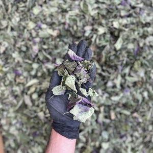 بادرنجبویه ملیس دستچین خشک