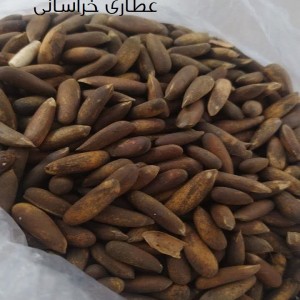 چلغوزه اصلی خوراکی