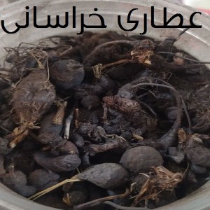 سعد کوفی اصل