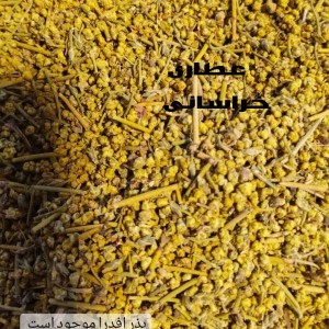 بذر گیاه هوم یا علیجون 50 گرمی