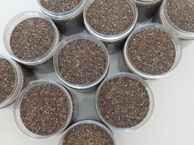 خواص دانه چیا برزیلی