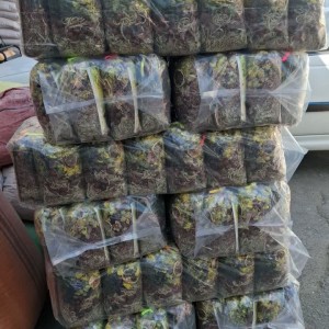 دمنوش  12 گیاه ضد سرماخوردگی