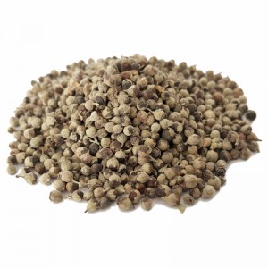 بذر گیاه  پنج انگشت