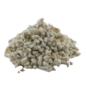 پنبه دانه فله ای مناسب خوراکی و کشت