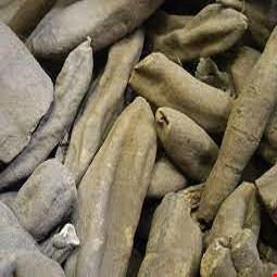 عود صلیب خارجی