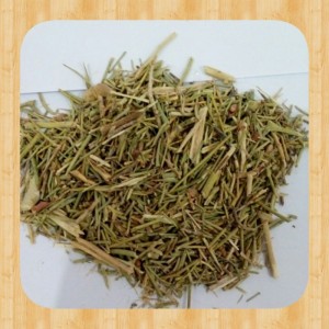 خارشتری بیابانی کاملا خشک بدون سنگ و خاک