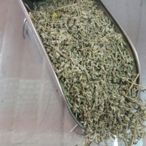 گیاه کلپوره مشهدی یا مریم نخودی