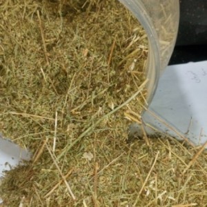 درمنه ترکی خشک معطر