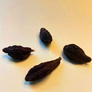 هل باد (هل سیاه)