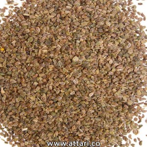 تخم کرفس تمیز کاشتنی و خوراکی